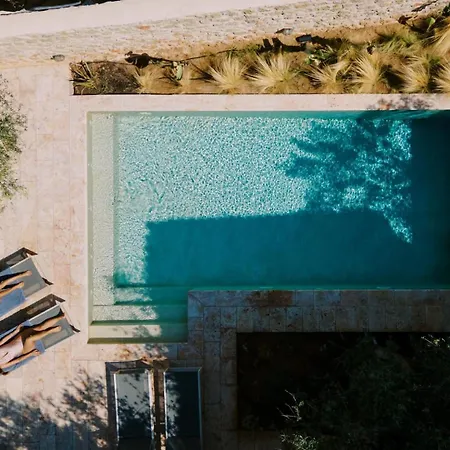 - Olive Villa Rínglia