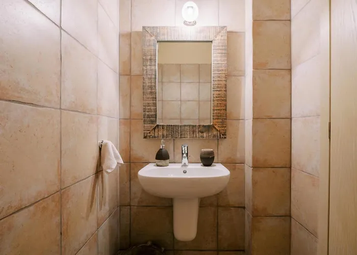 - Olive 瑞格利亚