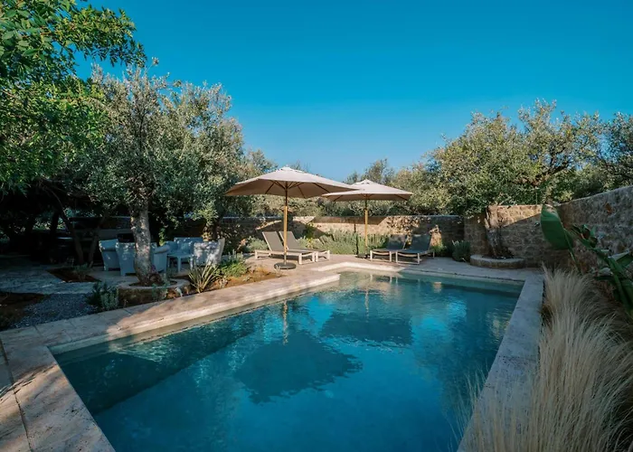 - Olive * 瑞格利亚