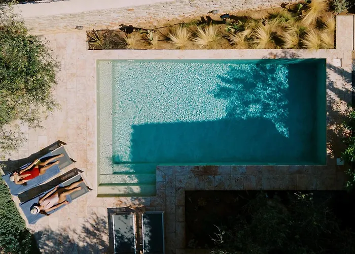 - Olive * 瑞格利亚