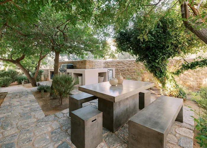 - Olive * 瑞格利亚